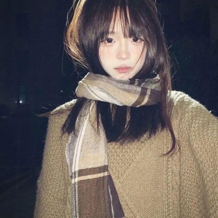 雪域丹青